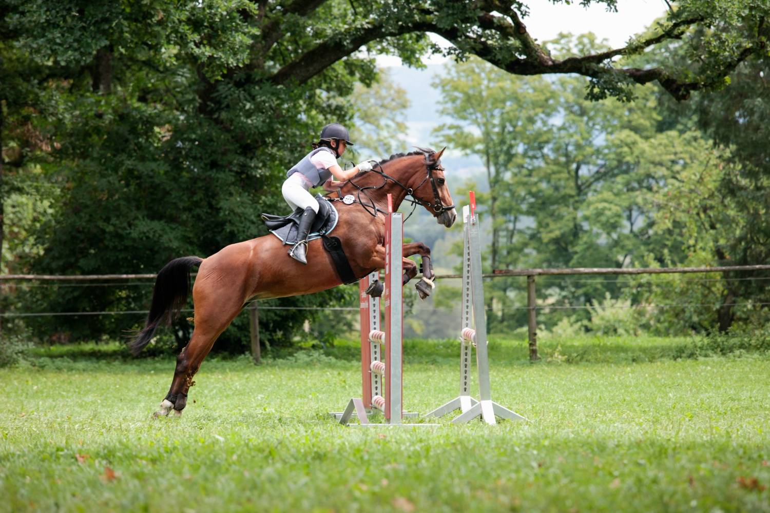equestrian-competitor-and-horse-jumping-over-hurdl-2026-01-05-06-17-23-utc.jpeg