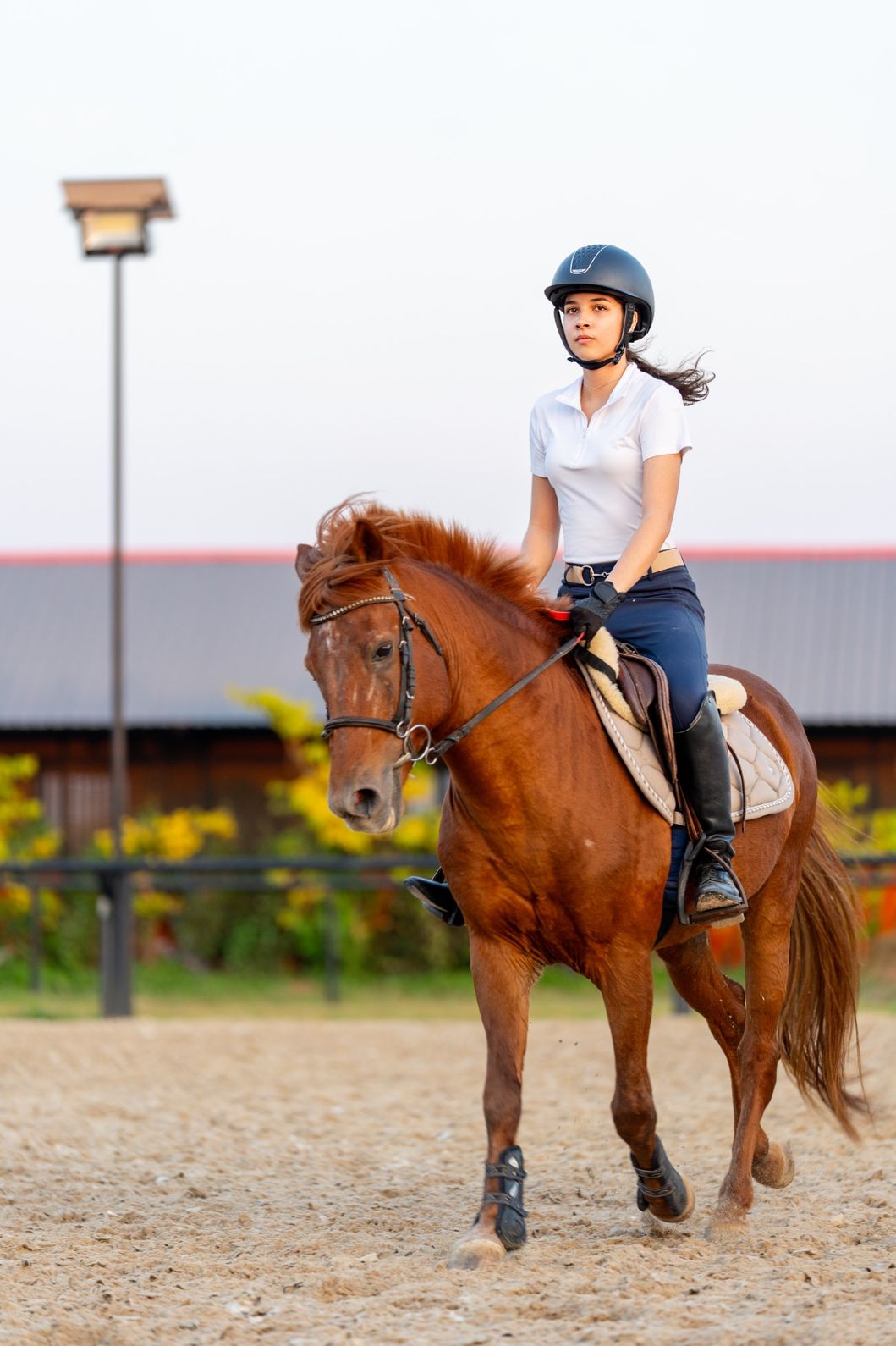 woman-rides-chestnut-horse-in-a-rural-paddock-2026-03-25-06-33-21-utc.jpg